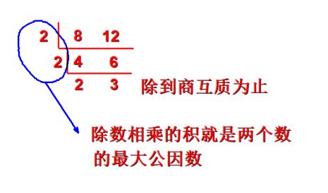 51和68的公因數|51和68的最大公因数是多少